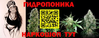 дурь Гатчина