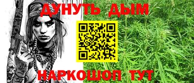 гашик Гай