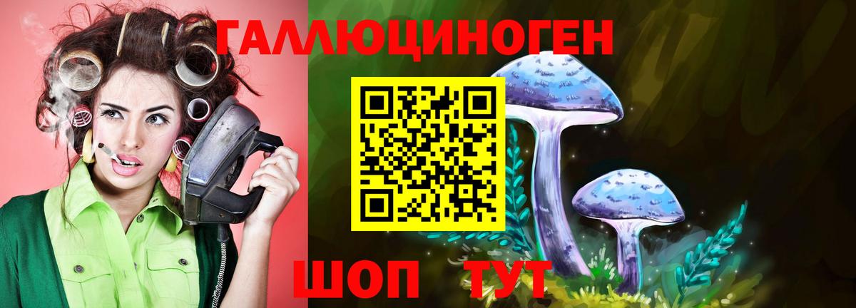 Минусинск  Галлюциногенные грибы GOLDEN TEACHER  Вход с VPN 