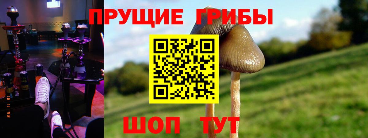 Галлюциногенные грибы прущие грибы Минусинск